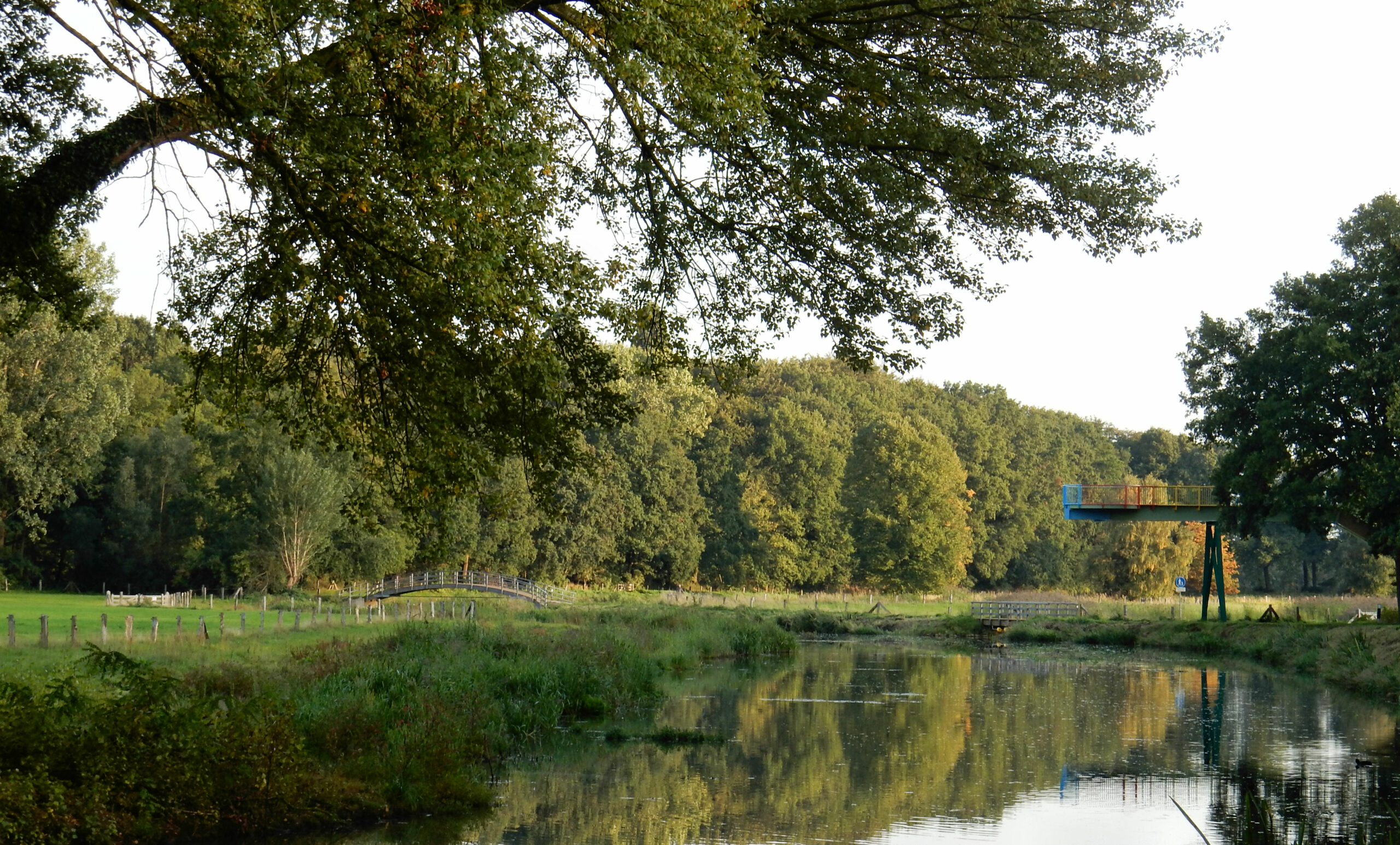 Boomtakken boven een rivier met een brug en een platform in een groene omgeving.