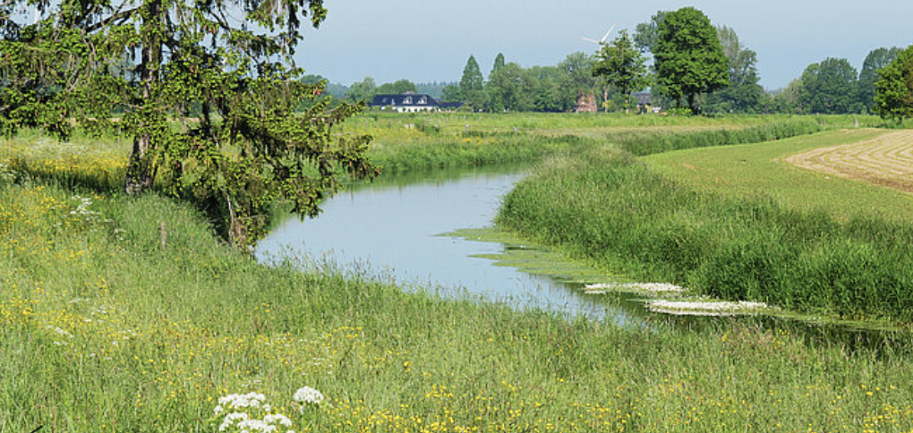 Landelijk landschap met een kronkelende beek, omliggende grasvelden en bomen op een zonnige dag.