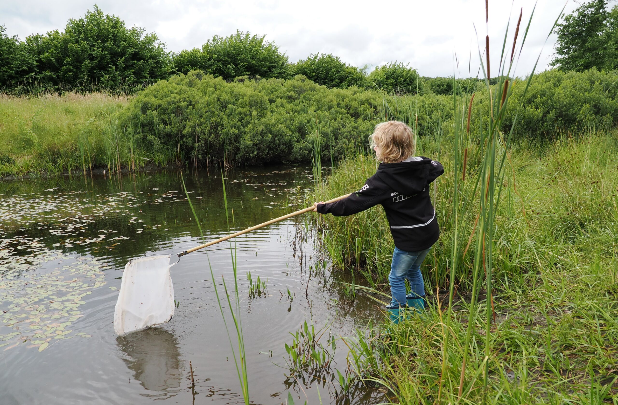 Kind vangt waterdieren in een plas met een net, omgeven door groene vegetatie.