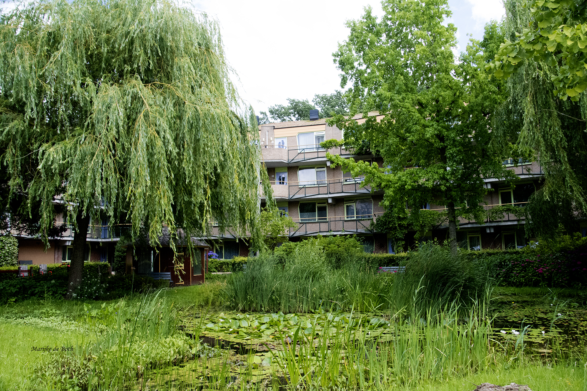 Appartementen met balkons achter een groene tuin met een vijver en een grote treurwilg.