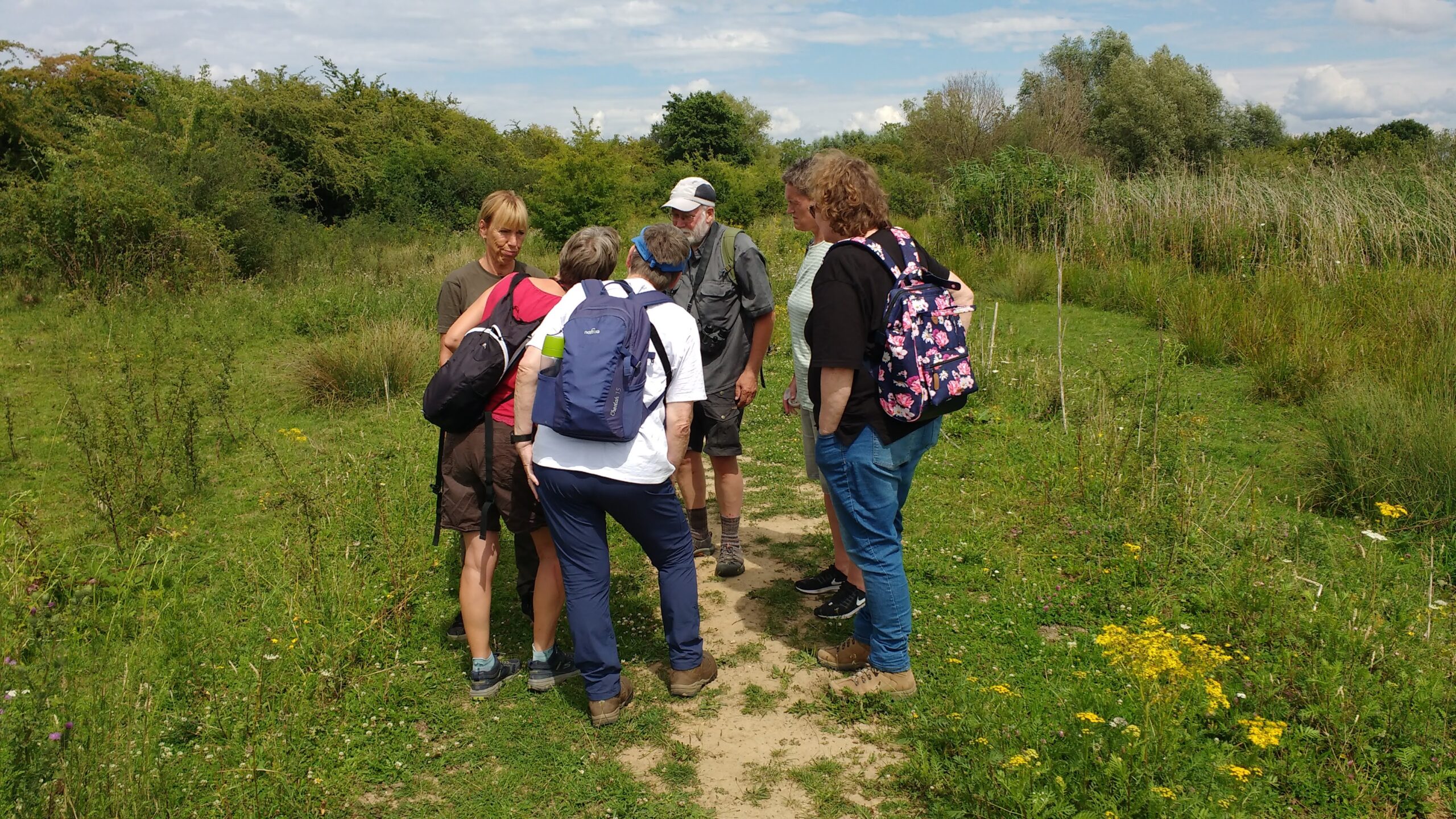 Groep mensen op een groen wandelpad, omringd door struiken, kijken naar iets op de grond.