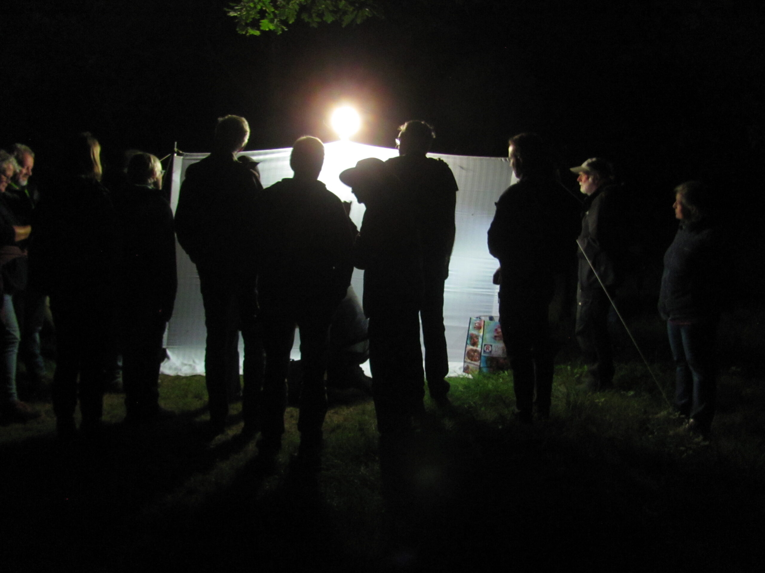 Mensen verzamelen zich 's nachts rond een verlicht scherm in het donker.