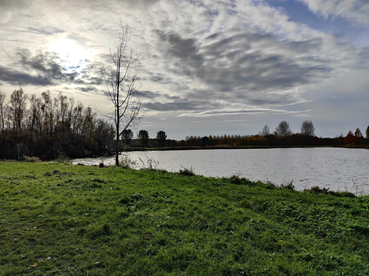 Bomen langs een meer onder wolkenhemel met zon; grasveld op de voorgrond.