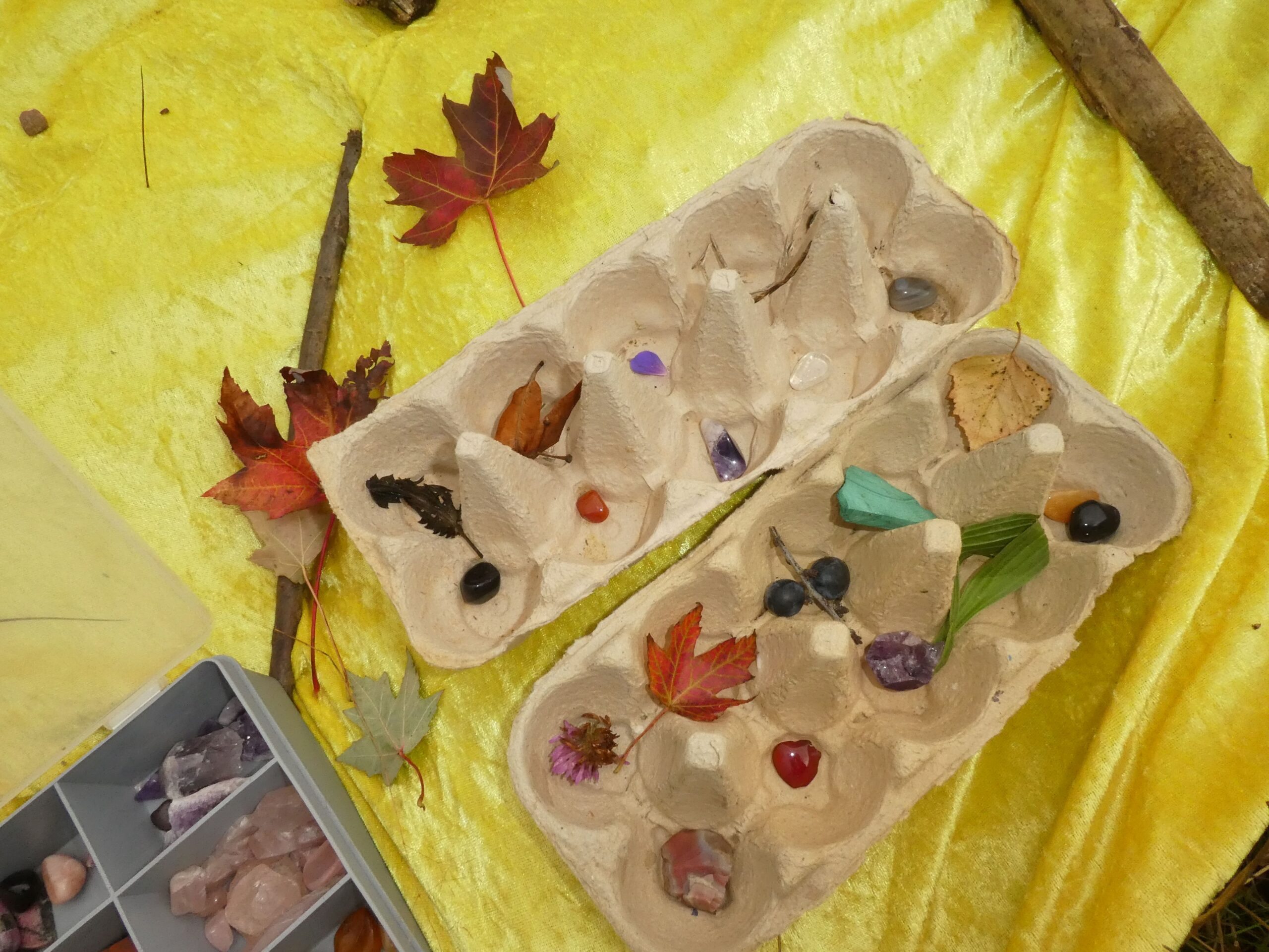 Eierdozen op geel doek met herfstbladeren, stenen en kleine natuurvondsten.