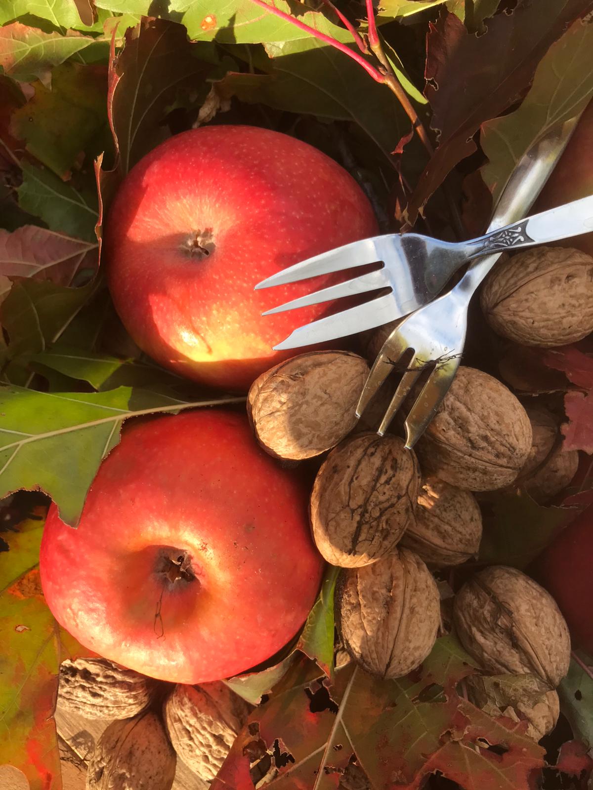Rode appels, walnoten en herfstbladeren met twee vorken erop.