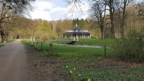 Landelijk pad met brug en huisje in groen, omringd door bomen en bloeiende narcissen.