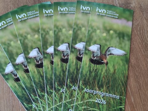 Folders met vliegbeeld van een vogel, tekst "IVN De Oude IJsselstreek, Jaarprogramma 2026".