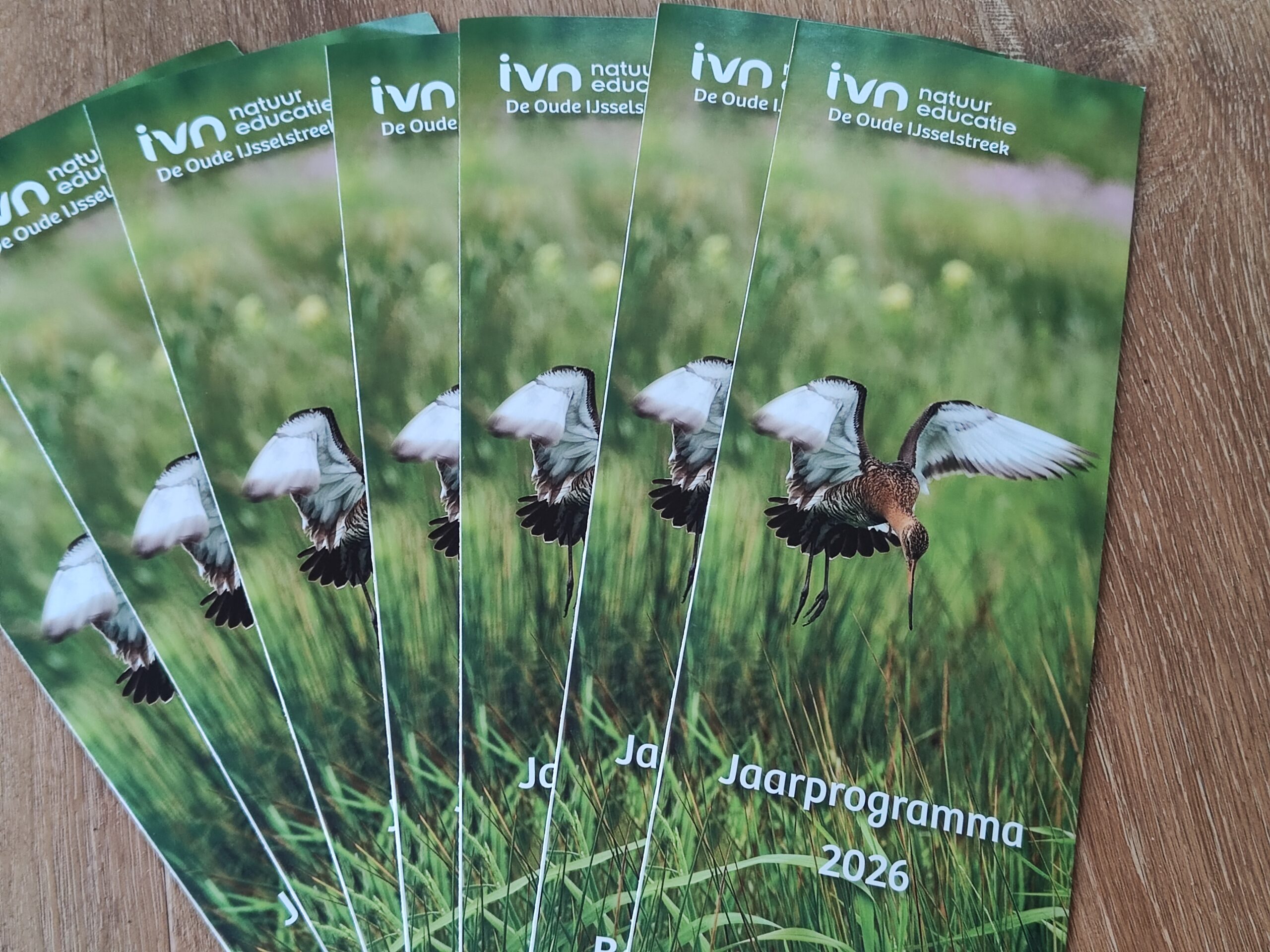 Folders met vliegbeeld van een vogel, tekst "IVN De Oude IJsselstreek, Jaarprogramma 2026".