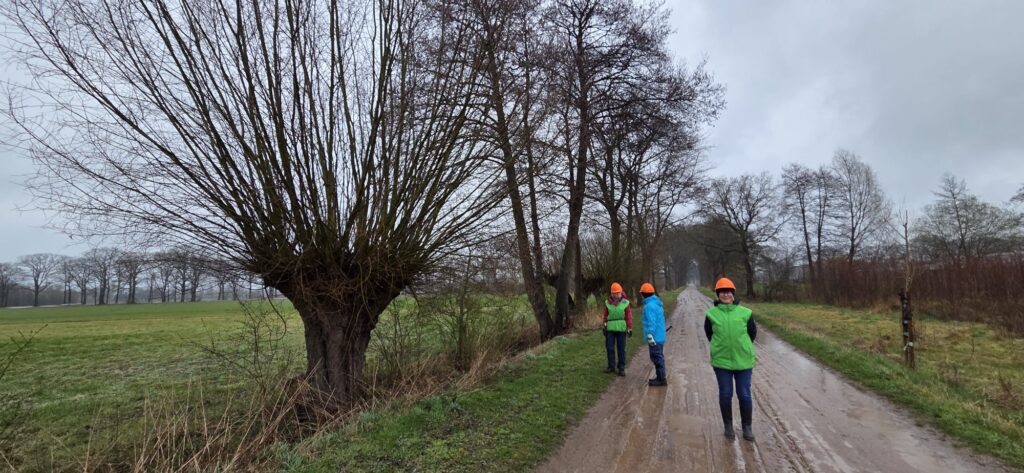 Drie personen met oranje helmen op een modderig pad naast kale bomen en een grasveld.