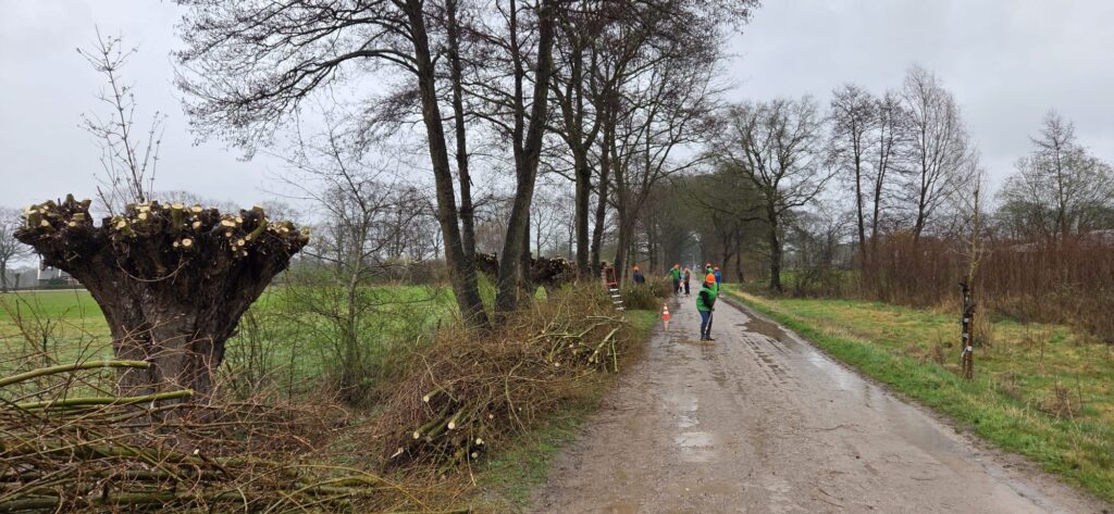 Mensen snoeien bomen langs een modderig, landelijk pad in regenachtig weer.