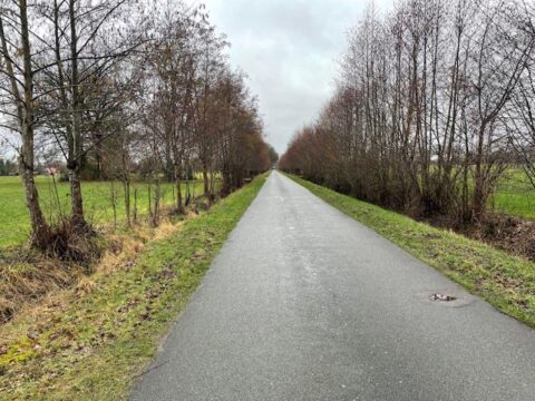 Rechte asfaltweg omgeven door kale bomen, met grasvelden aan beide zijden onder een grijze hemel.