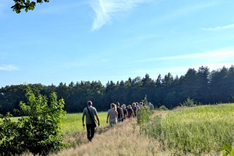 Groep mensen wandelt op een pad door een groen veld, omgeven door bomen en een blauwe lucht.