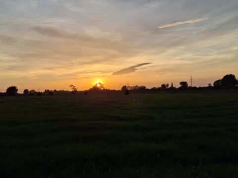 Zonsondergang boven groen veld met silhouetten van bomen en elektriciteitspalen.
