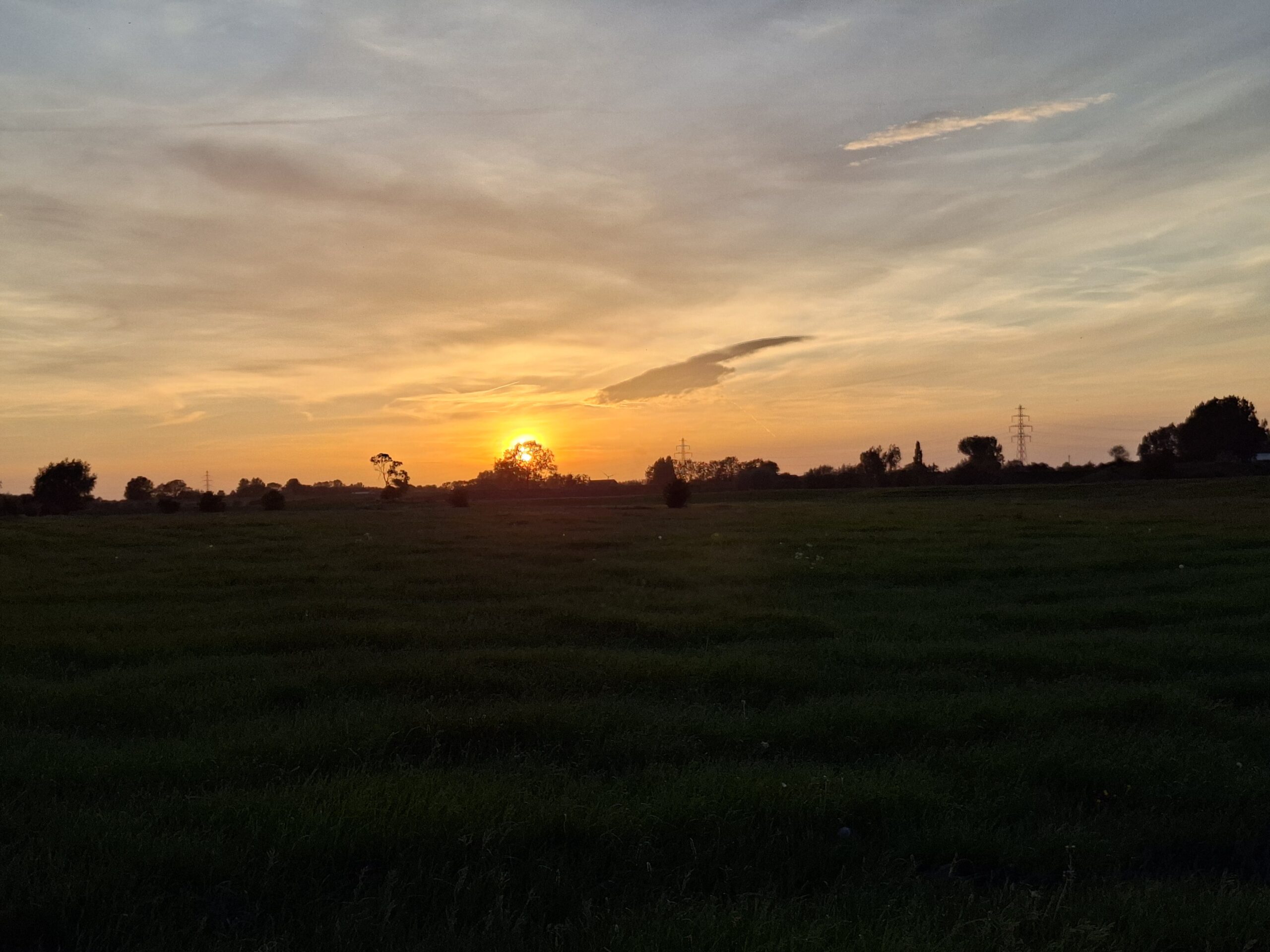 Zonsondergang boven groen veld met silhouetten van bomen en elektriciteitspalen.