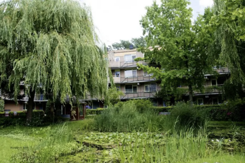 Appartementengebouw omgeven door weelderige bomen en vijver met waterlelies op de voorgrond.