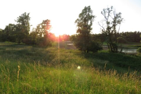 Zonsondergang boven een groene weide met bomen en een smal waterstroompje.