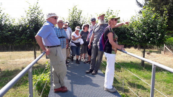 Wandelwerkgroep