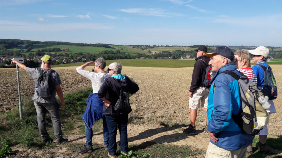 Wandelwerkgroep