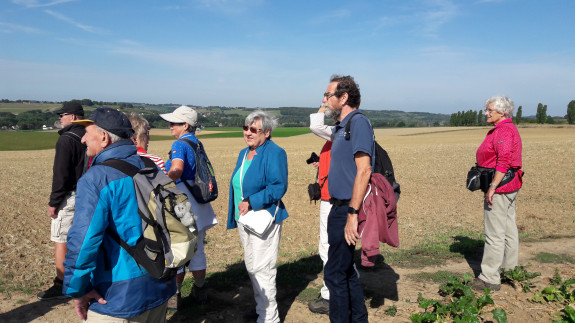 Wandelwerkgroep