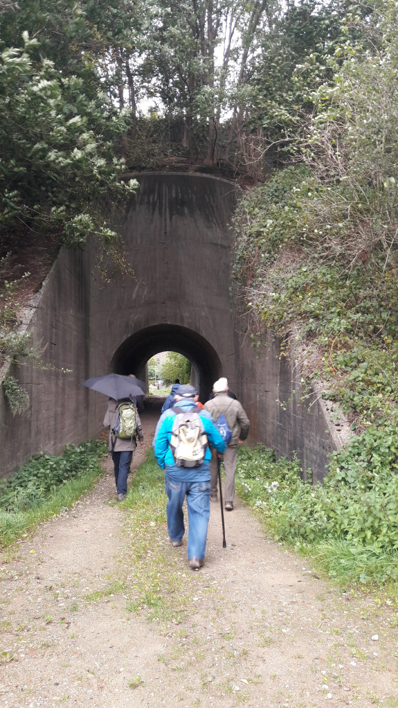 Wandelwerkgroep