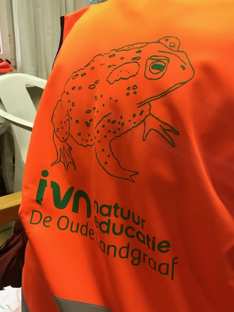 Paddenshirt