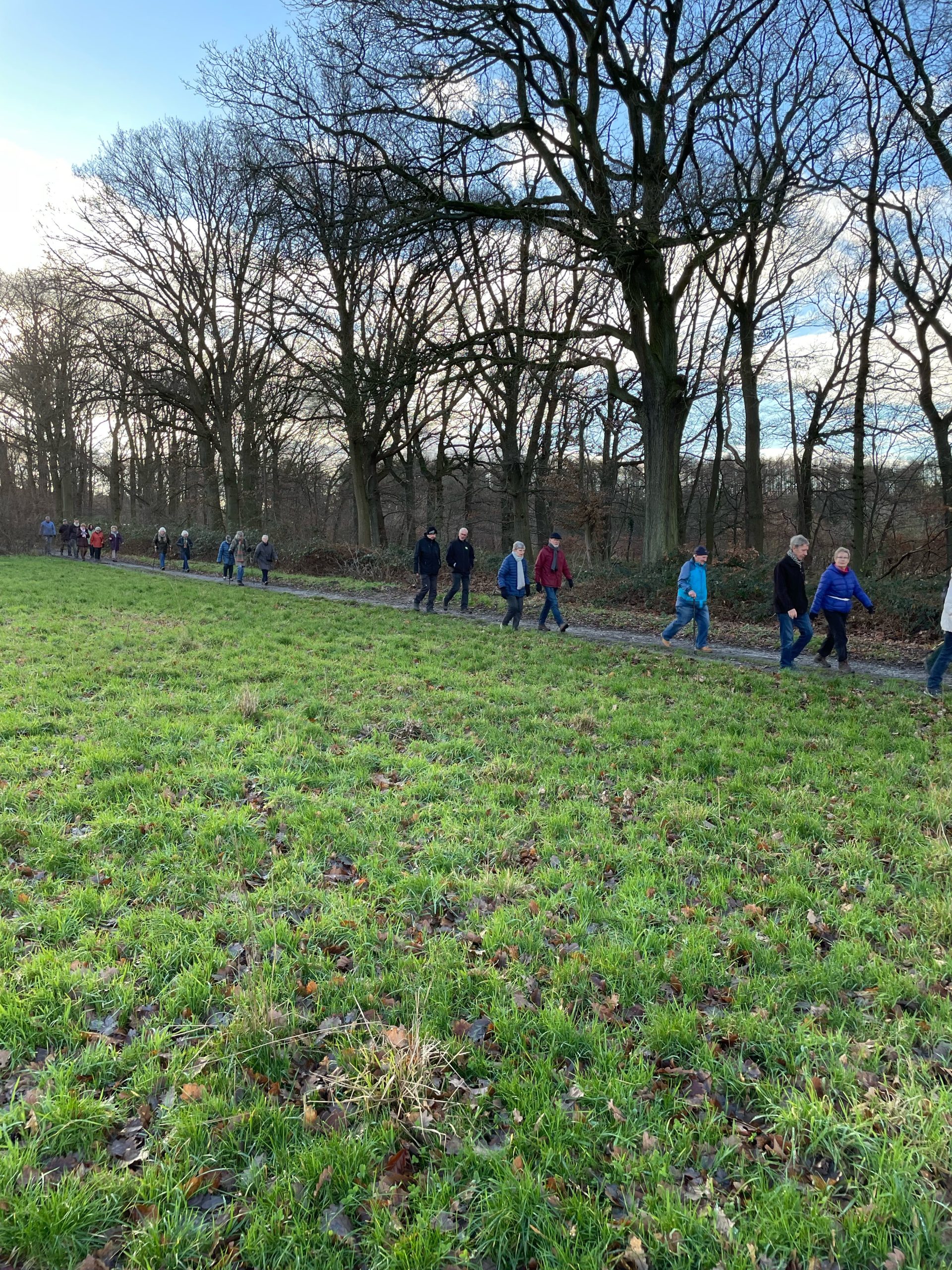 Groep mensen wandelt op een pad langs een bosrand onder een heldere hemel.