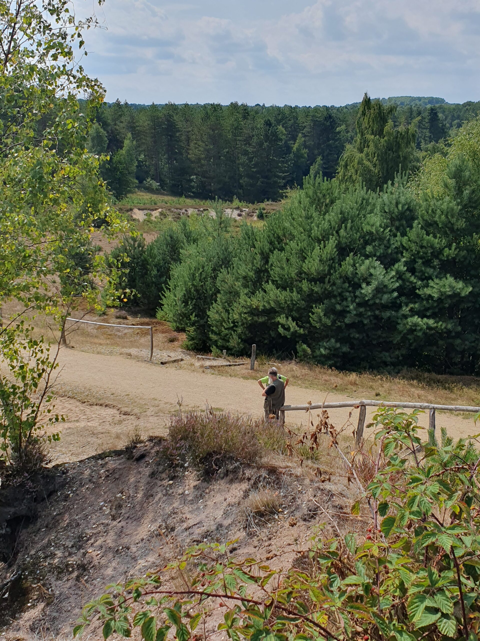 Wandelaars in bosrijk heidegebied met bospad en groene bomen onder blauwe lucht.