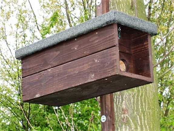 IVN DRVU - Wergroep Vogels. Uilen