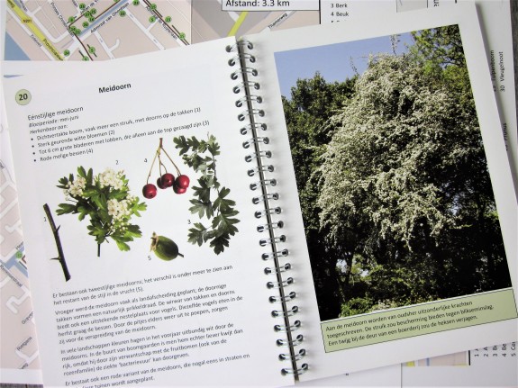 IVN DRVU - Publicaties. Bomen over Bomen