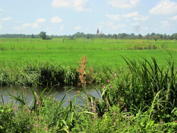 Plantenwerkgroep