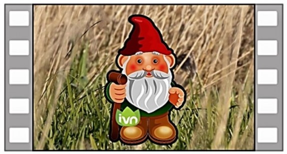 IVN DRVU - Op locatie, Kabouter Kwebbel