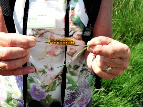 IVN DRVU - Jeugd Speurtocht