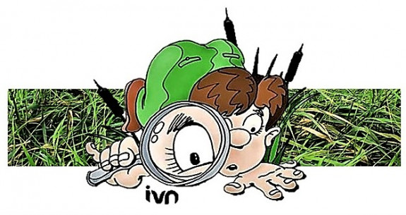 IVN DRVU - Jeugd Speurtocht