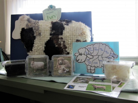 IVN DRVU - Natuurkoffer