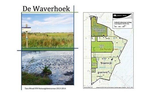 Vogelwerkgroep