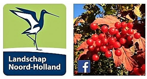 Plantenwerkgroep