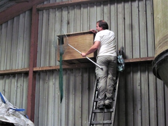 IVN DRVU - Werkgroep Vogels. Uilen