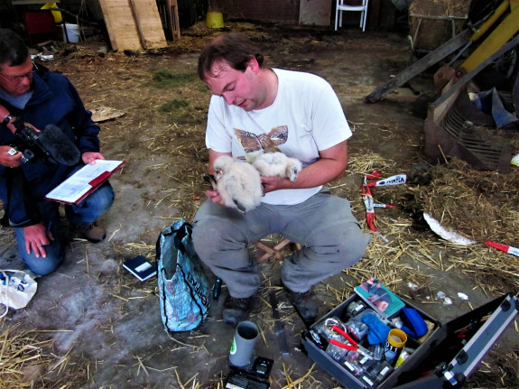 IVN DRVU - Werkgroep Vogels. Uilen