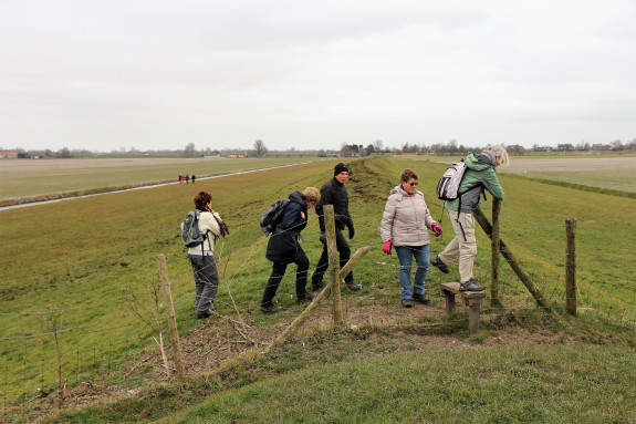 IVN DRVU - Winter Natuurwandeling