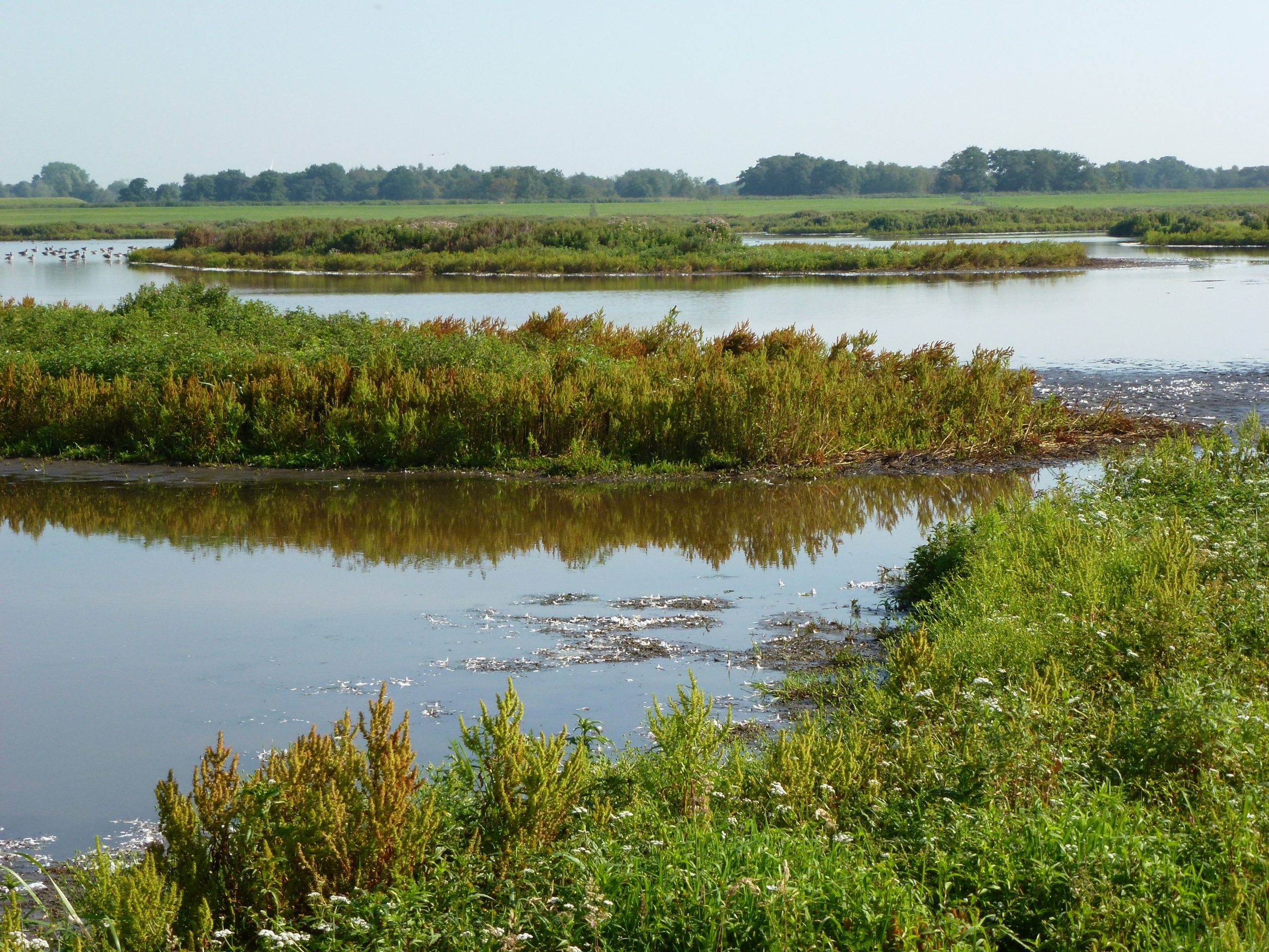 Op locatie: Waverhoek