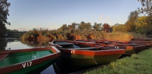 Uniek natuurgebied De Botshol