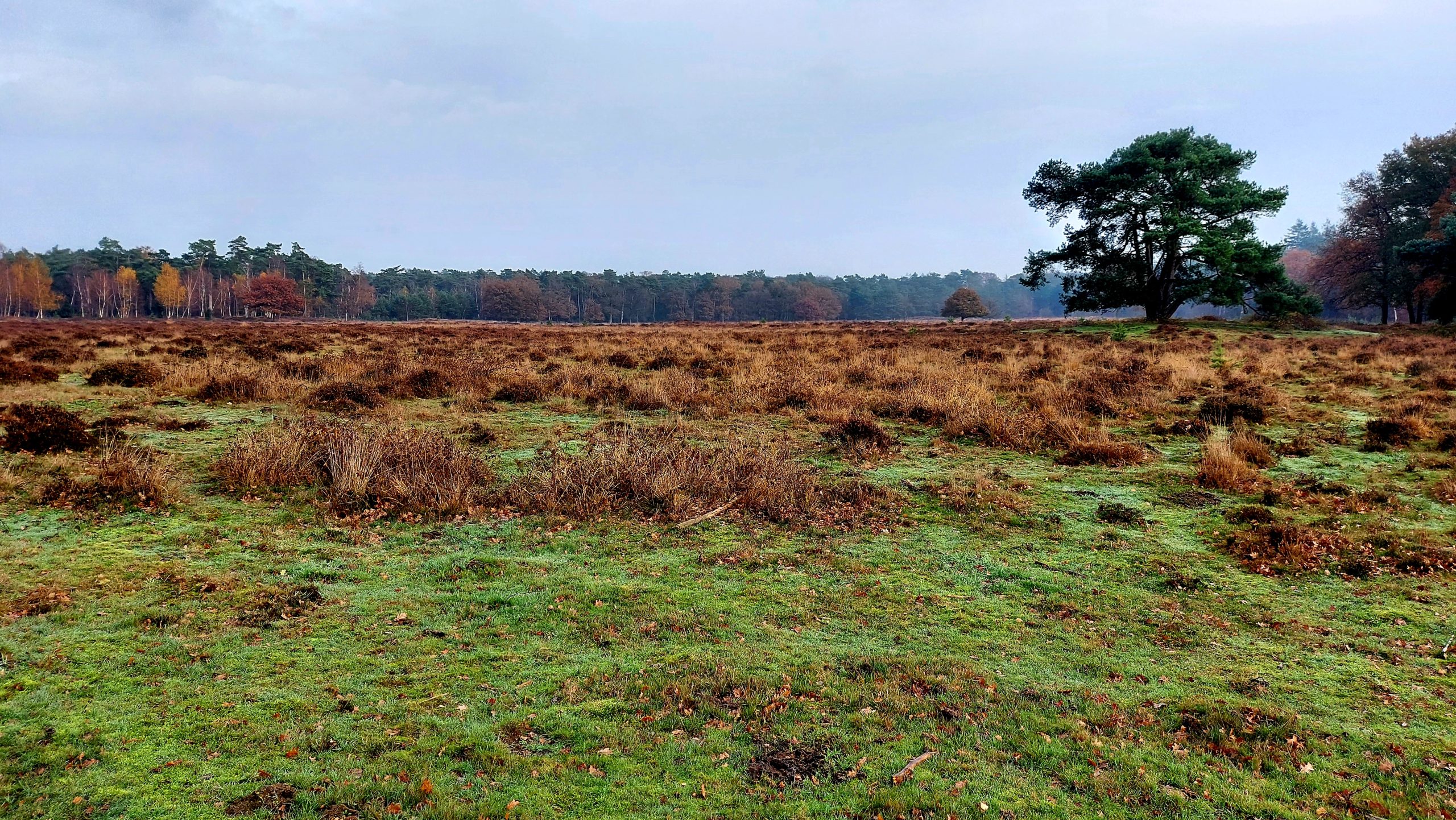 De Stulp De Lage Vuursche