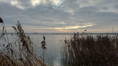 Ouderkerkerplas Smienten IVN