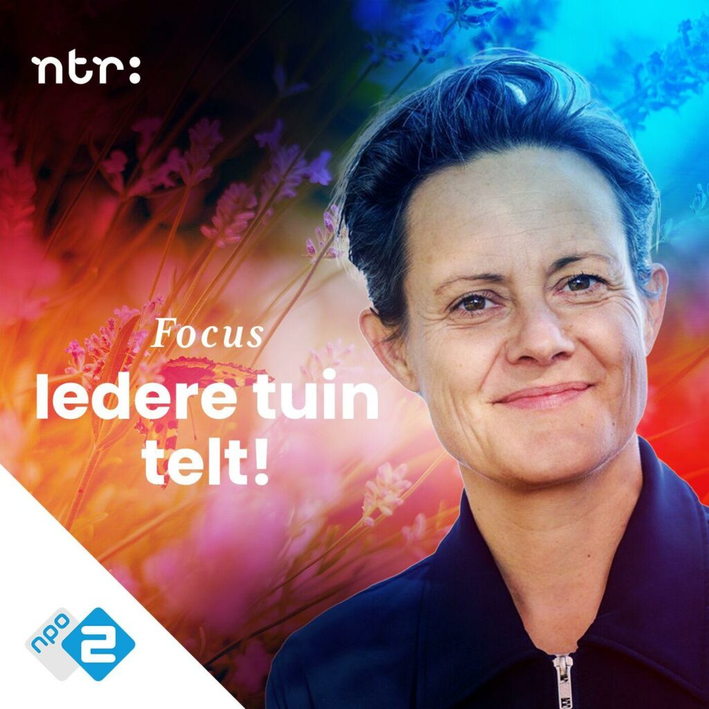Podcast Focus van NTR