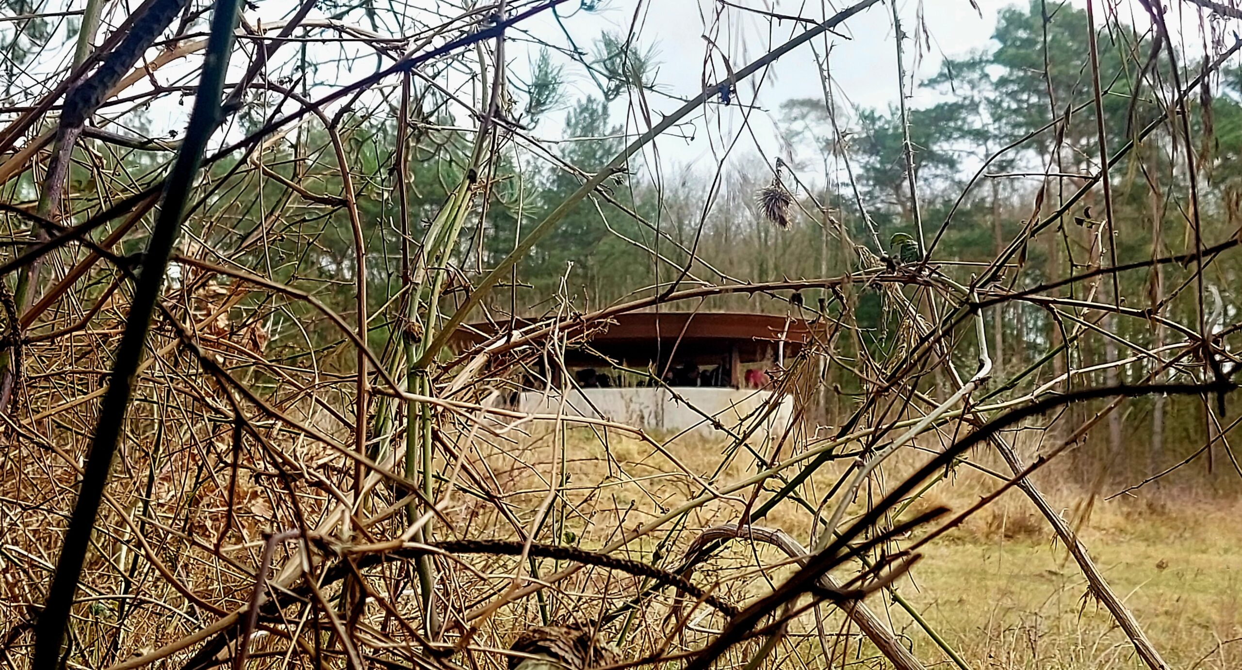 Vogelkijkhut Vliegbasis Soesterberg