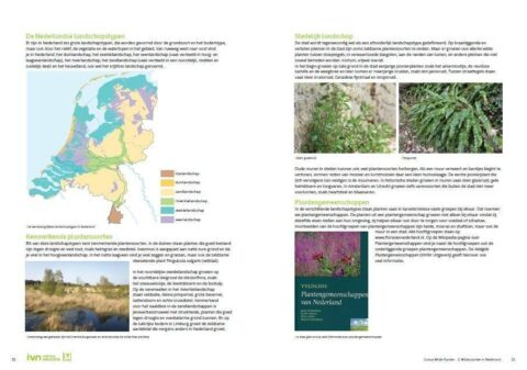 ivn-ivn-cursusboek-wilde-planten