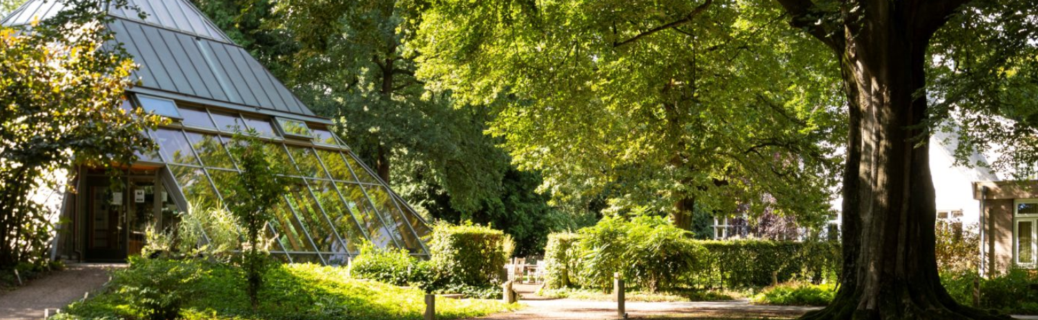 Glazen piramidevormige kas in een groene tuin met grote bomen en zonlicht.