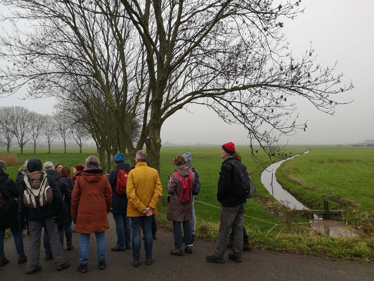 Winterwandeling IVN DRVU - Foto Hans Tuinenburg