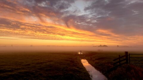 Misty weiland bij zonsopgang, met oranje lucht en spiegelend slootje.