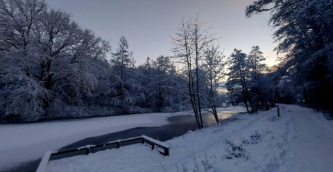 Besneeuwd boslandschap bij schemering met bevroren rivier en besneeuwd pad.